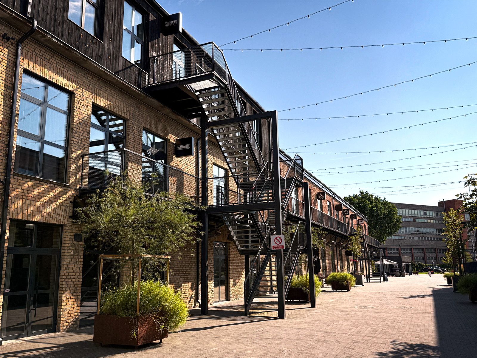 Local Creative Talent, Global Impact